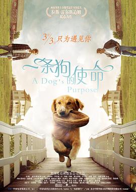 久青草视频在线观看