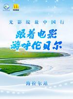 久久99精品久久久久久久野外