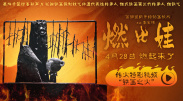 精品欧美一区视频在线观看
