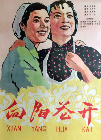 一区二区视频在线播放