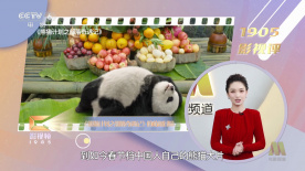 国产亚洲精品国产福利在线观看